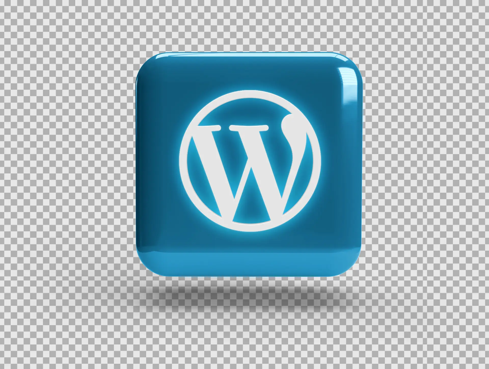 Complete WordPress Website Developer Course